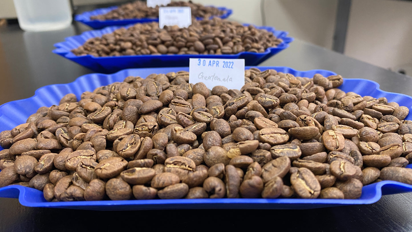 Guatemala: Huehuetenango (Washed) 150g